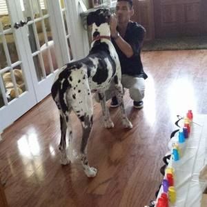 Meet your Posher, Baldemar